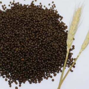 Engrais granulaire au phosphate DAP 18-46, prix compétitif et expédition rapide pour l'agriculture, type TSP - Product Image 5