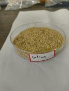 Descompostador de Residuos Orgánicos Granulares Calcus de Acción Rápida y Alta Demanda para Compostaje de Residuos Agrícolas, Suministro Disponible a Nivel Mundial - Product Image 3