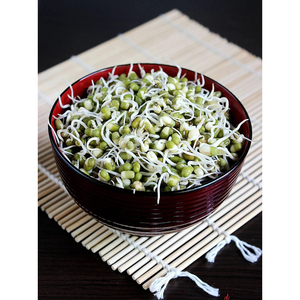 Haricots Mungo de Qualité Supérieure – Gramme de haricot vert de haute qualité pour la cuisson, la germination et la transformation alimentaire - Product Image 3