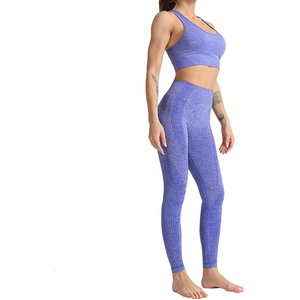 Conjunto Deportivo de Dos Piezas para Mujer, Ropa de Yoga y Gimnasio sin Costuras, Diseño Sólido, para Ejercicio, Tallas Grandes, Logotipo en la Cintura - Product Image 2