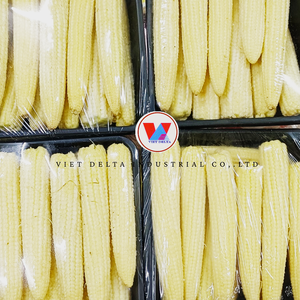 Maïs en grains entiers en conserve, en saumure, Hot 2026, prêt à consommer, qualité supérieure, Vietnam, vente en gros, qualité alimentaire, fournisseur OEM, marque privée - Product Image 6