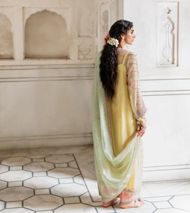 Robe de mariée traditionnelle indienne et pakistanaise en soie pour femme, longueur ras du sol, coupe ample, broderie, dupatta jaune et vert - Product Image 1