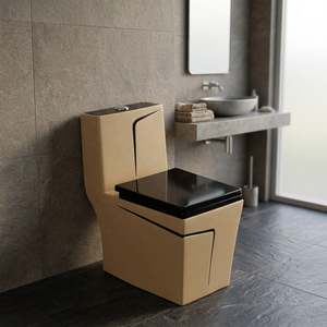 WC monobloc en céramique de style moderne pour salle de bain, avec siphon en P, à poser au sol, de marque Indian Sanitary Ware - Product Image 5