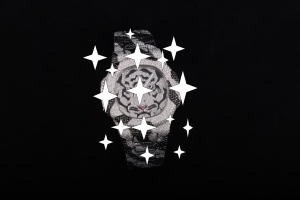 NYC DIAMOND EMPIRE นาฬิกาข้อมือผู้ชายสุดหรู สีดำขาว หน้าปัดลายเสือ ประดับโมอิสซาไนต์ ตัวเรือนสแตนเลสสตีล ระบบกลไกอัตโนมัติ แสดงวันที่ กระจกใส - Product Image 3