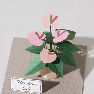 [4] Venta al por mayor Forever Green Flamingo Lily Paper Model Miniatura DIY Kit - Product Image 2