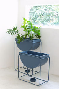 Soporte para Macetas con Maceta Negra para Plantas de Interior, Soporte Decorativo de Hierro para Plantas con Maceta Negra Extraíble - Product Image 4