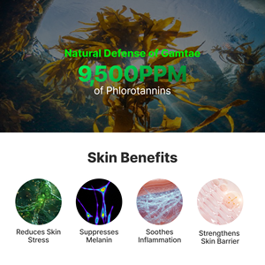 Hydratant raffermissant aux exosomes pour peaux sensibles, réduction des rougeurs, TAE743, algues marines Gamtae, hydratation de la peau, éclat, apaisement - Product Image 4