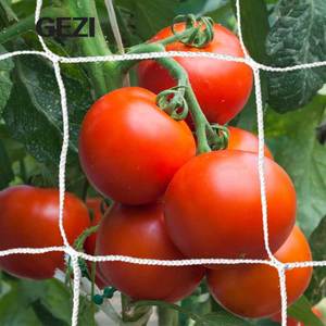 Soft Elastic Rede Extrusada Heavy Duty Biodegradable Cucumber <strong>Bitter</strong> Plant Support Trellis Netting Mesh Nylon pp Pe Hdpe Plastic - Product Image 5