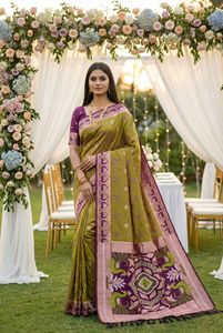 Sari en soie Banarasi douce avec broderie zari, motifs minuscules sur toute la surface du sari. - Product Image 2