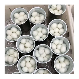 Venta caliente Huevos de codorniz enlatados 100% Huevos frescos cocidos Exportación certificada HACCP de Vietnam - Product Image 5