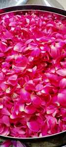 Vietnam Dried <b>Rose</b> Petals for Floral Arrangement Wedding Styling Gift Wrapping Craft Projects Decorative Home Displays - Product Image 5