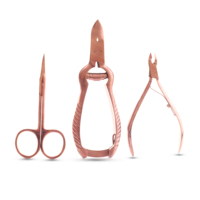 Ensemble de manucure japonais en acier inoxydable de haute qualité, fabriqué à la main, avec emballage personnalisé, outils de beauté
