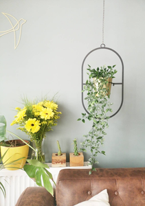 Macetas Colgantes de Metal Negro con Acabado Dorado |   Modernos Soportes Geométricos Colgantes para Plantas, Decoración Interior del Hogar - Product Image 3