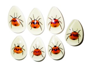 Cabujón de plástico con espécimen real de insecto floral, corte de pera, parte superior de 46x30 mm, base plana brillante para manualidades y fabricación de joyas - Product Image 1
