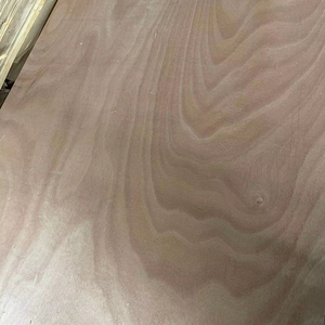 Contrachapado Comercial Fomex de Primera Clase con Núcleo de Eucalipto y Revestimiento de Madera Dura Mixta de 18mm y 5mm Okume - Product Image 1