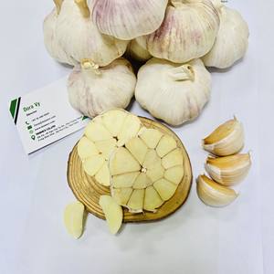 2025 Nuevo Cultivo de ajo blanco puro, producto agrícola fresco de alta calidad, listo para exportar (+ 84 36 680 8683) - Product Image 2