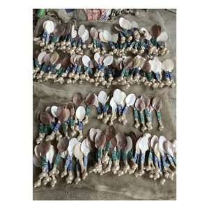 Natural Mother of Pearl Spoon | Elegant Handmade Seashell Utensil for Premium Tableware & Dining - Product Image 3