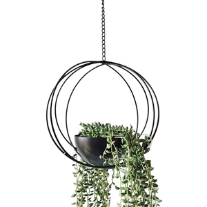Wholesale Modern Metal Hanging Pots Wall And Planter For Trailing <b>Plants</b> Eco-Friendly Style Decorative Planter For Hot Sale - Product Image 3