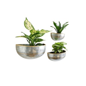 Modern Galvanized Metal Round <b>Wall</b> Planter Hanging Succulent & Air <b>Plant</b> <b>Holder</b> for Indoor Outdoor Garden Home Decoration - Product Image 2
