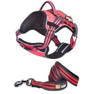 Pettorina e Guinzaglio Helios per Cani, Set di Alta Qualità per il Tuo Amico Peloso - Product Image 1