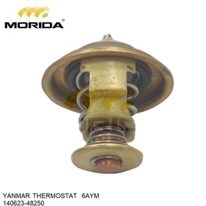 Doublure 6AYM 748620-01900 pour YANMAR - Product Image 4