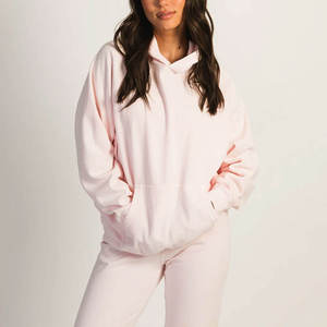 Workout Hoodie Womens Hoodie Blank Supplier With Womens Graphic Sweatshirt Hoodie For US Streetwear Brands - Product Image 1
