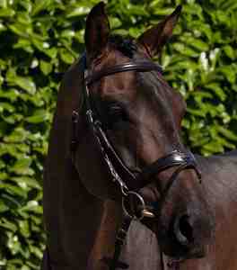 Brida italiana de cuero para caballo con figura 8, de alta calidad, con gancho de latón duradero y riendas de goma. - Product Image 6