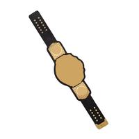 Ceinture de champion personnalisée Kivotech, durable et élégante, idéale pour la lutte, la boxe, les récompenses sportives et la promotion de marque.
