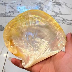 Plato de Concha Floral con Incrustaciones de Oro de Lujo, Madreperla Natural Iridiscente de 8cm-10cm, Bandeja para Joyas, Plato Artesanal de Madreperla - Product Image 1