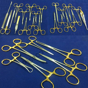 PISSCO Feline Spay Pack Surgical <b>Instruments</b> Kit Cat Spay Surgery <b>Instrument</b> Kit Veterinary Veterinary Feline Spay Surgical Kit - Product Image 1