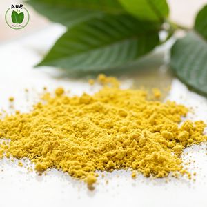 Indispensable : Poudre d'extrait de feuilles d'Herbe Thaïlandaise AuE MIT 80% extraite par solvant, qualité pharmaceutique, emballée sous vide - Product Image 4