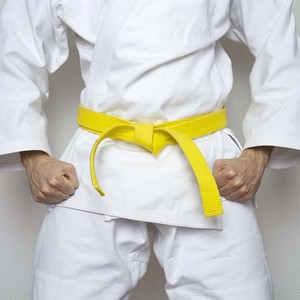Ceinture de Karaté Premium Personnalisée pour Enfants, Ceinture de Maître de Judo, Ceinture d'Arts Martiaux, Fabricant OEM - Product Image 4