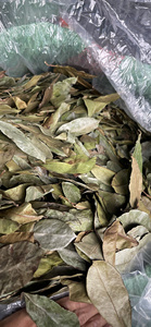 Exportación de Hojas Secas de Guanábana (Graviola) de Vietnam, Ingrediente Vegetal Natural para la Elaboración de Bebidas, Suministro a Granel - Product Image 5