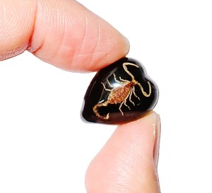 Golden Scorpion Real Specimen Plastic Cabochon <b>Heart</b> 17x21 mm <b>Black</b> Flat Bottom for Crafts and Jewelry Making - Product Image 5