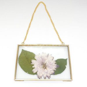 Cadre photo moderne en laiton suspendu avec verre, double face, pour fleurs séchées, cadre décoratif mural esthétique - Product Image 1