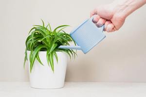 Mini maceta de cerámica rosa para plantas de interior, ideal para proyectos de jardinería interior DIY y para regar pequeñas plantas en macetas. - Product Image 2