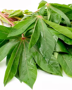 Feuilles de manioc vietnamiennes surgelées – Fraîchement transformées et IQF - Product Image 3
