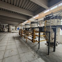 Nouvelle Presse à Huile Automatique Économe en Énergie Taixin pour Graines de Tournesol et de Lin, Capacité 1000 kg/h, Hebei, Puissance 75 kW, Garantie 1 An