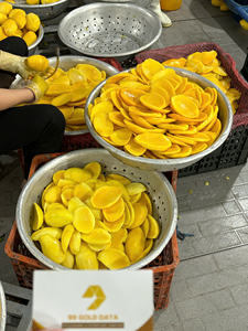 Mango Deshidratado Premium AD, Snack Dulce Deshidratado, Empaque al Vacío a Granel, Origen Vietnam - Product Image 5