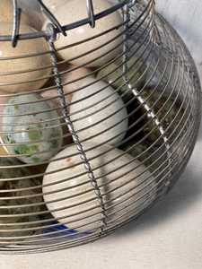 Multi-Use Wire <b>Storage</b> Basket for <b>Eggs</b>, Fruits and Kitchen Essentials - Product Image 2