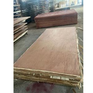 Panneaux de contreplaqué minimaliste de deuxième classe en eucalyptus et formaline, fabriqués au Vietnam, avec noyau en Bintangor et finition farine de blé - Product Image 5