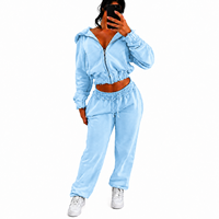 Ensemble sweat-shirt court à capuche gris pour femme grande taille, en molleton avec fermeture éclair, brodé, style streetwear décontracté, couleur unie, automne