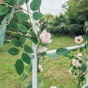 Arco da Giardino Regolabile in Metallo Bianco, Elegante Traliccio e Cancello per Recinzione - Product Image 2
