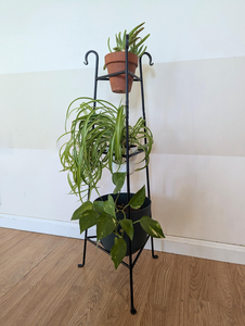 Support à plantes en fer forgé à 3 niveaux, présentoir décoratif en métal pour pots de fleurs, pour l'intérieur, l'extérieur, la maison, le jardin, le balcon, la terrasse - Product Image 5