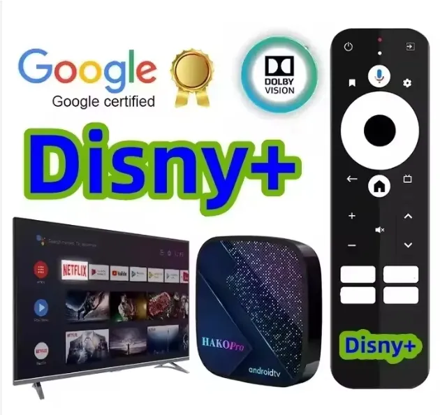 Disneys 4k cộng với phát trực tuyến không giới hạn các chương trình truyền hình và phim hoạt hình ổn định và an toàn nhất toàn cầu công việc EU Android TV Box