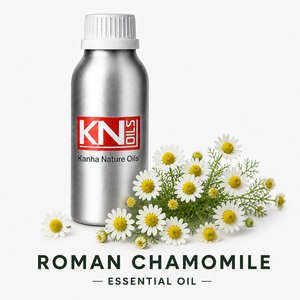 Top Grade 100%Pure Roman Chamomile <b>Essential</b> <b>Oil</b> from Aromatherapy Anthemis nobilis Organic Certified Bulk Manufacturer Exporter - Product Image 1