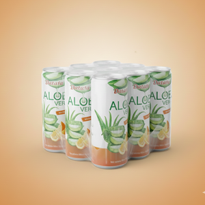 เครื่องดื่มว่านหางจระเข้เข้มข้น 330 มล. รสส้ม ผลิตภัณฑ์พรีเมียม ราคาส่งที่ดีที่สุดจากโรงงานเวียดนาม รับผลิตแบบ OEM ODM มีตัวอย่างฟรี - Product Image 5