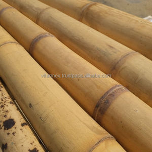Premium Bamboo <b>Poles</b> Vietnam <b>for</b> <b>Garden</b> Decoration and Construction - Product Image 3