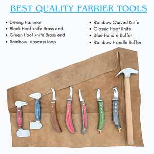 Estuche de herramientas de herrador de alta resistencia, Cuchillo para pezuñas con hoja en D, Cuchillo de doble punta para abscesos, Martillo y dos cuchillos de latón con extremo de latón - Product Image 2