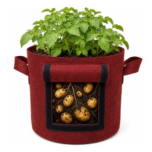 Casa De Amor Bolsa de Cultivo de Patatas de Tela Geo de 400 GSM con Ventana de Cosecha – Contenedor de Plantas de Tela de 15x12 Pulgadas para Interiores y Exteriores - Product Image 1